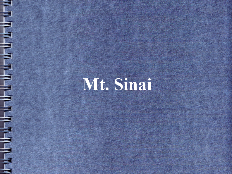Mt.-Sinai-converted[0]